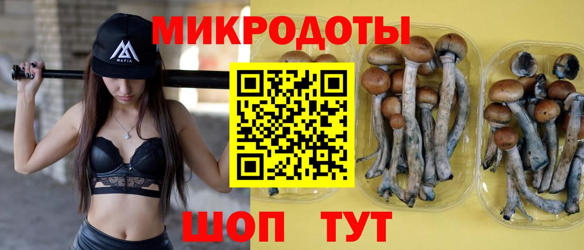 Артём  Псилоцибиновые грибы GOLDEN TEACHER  Галлюциногенные грибы Psilocybe  Вход с VPN 